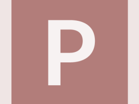 pinboard-pinboard-#b27d7a-alphanumeric/lato-white/P.png-255,255,255,0.4.png (210×280 px, 2 KB)